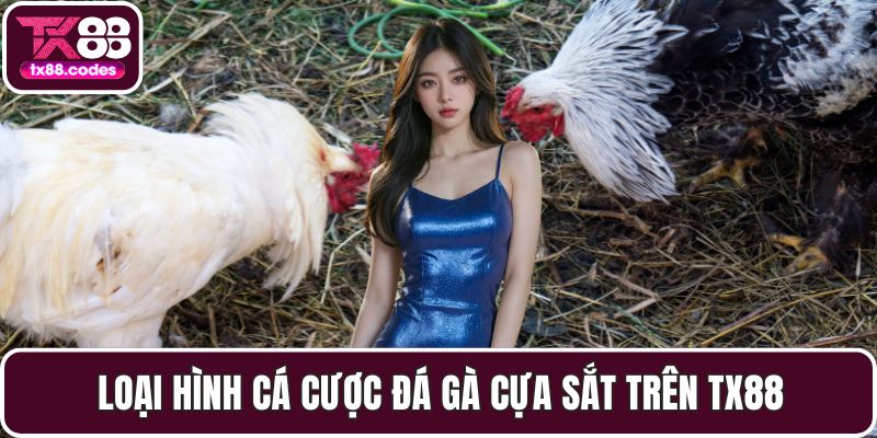 Đá Gà TX88 - Đỉnh Cao Cá Cược Với Những Trận Đấu Gay Cấn - Fovix
