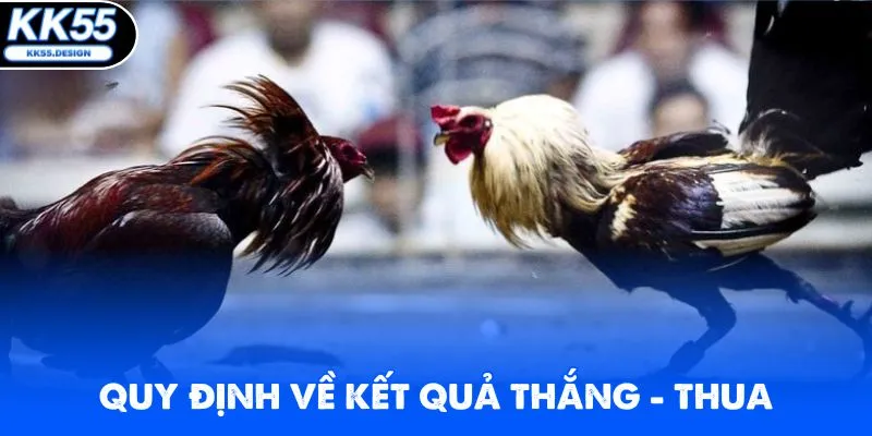 Luật Đá Gà KK55 - Bí Kíp Thắng Lớn Cho Người Chơi Mới - kk55 - Fovix