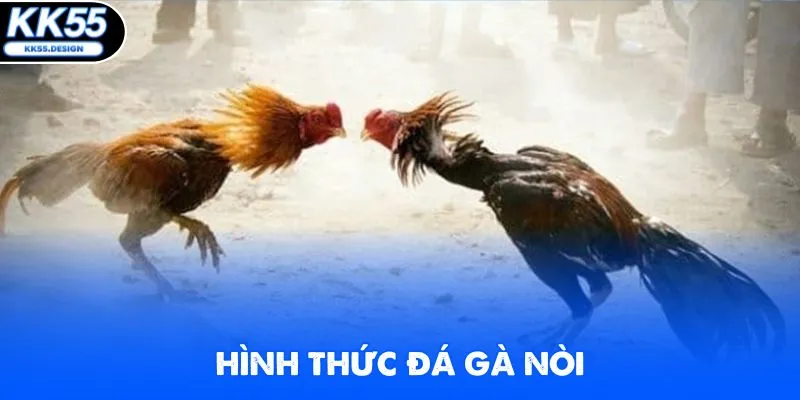 Đá Gà C1 - Chinh Phục Các Trận Chọi Kê Hot Nhất 2026 - Fovix