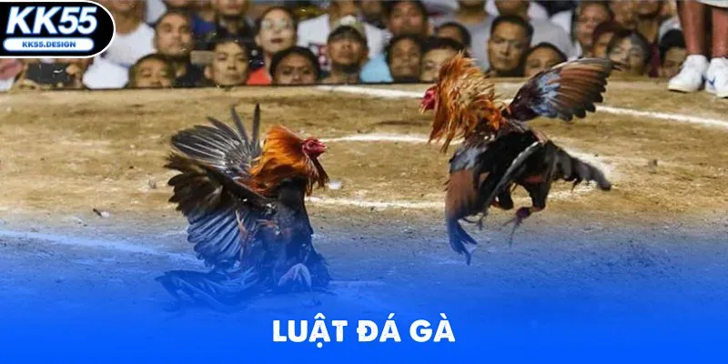 ĐÁ GÀ - kk55 - Fovix