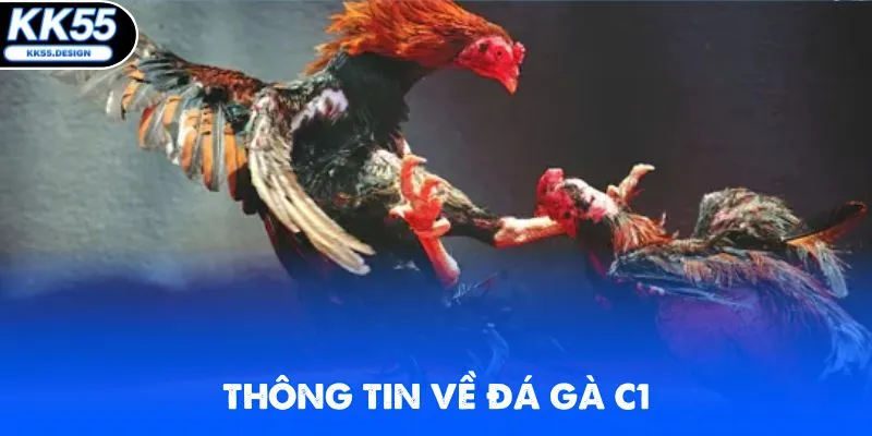 Đá Gà C1 - Chinh Phục Các Trận Chọi Kê Hot Nhất 2026 - Fovix