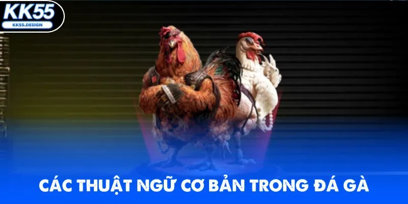 Luật Đá Gà KK55 - Bí Kíp Thắng Lớn Cho Người Chơi Mới - kk55 - Fovix